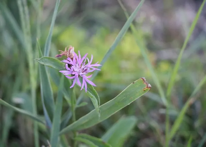 Stadl-ferienwohnung Sankt Georgen am Längsee